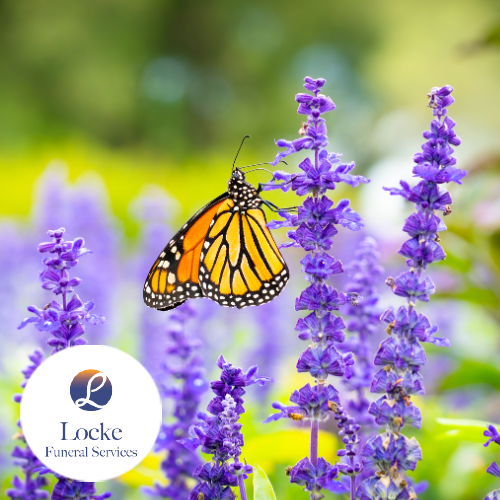 Monarch butterfly perched on a purple flower in close up photography.